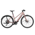 Vélo de ville électrique Riese & Müller UBN Seven Touring-rose