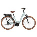 Vélo de ville électrique Riese & Müller Swing4 Silent-salvia-matt