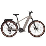 velo-de-randonnee-electrique-kalkhoff-entice-5-advance-belt-600wh-gris-clair-cadre-diamant