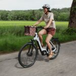 VTC électrique Winora Tria X9 (500 Wh) – Image 10