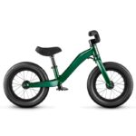 draisienne-moustache-mercredi-12-vert-fonce