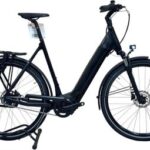 produit reconditionné . Giant Dailytour E+ 2 LDS Shimano Nexus 2021 . Vélo électrique . Giant . très bon état