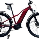 produit reconditionné . Giant Liv Tempt E+ EX Shimano Alivio 2021 . VTT électrique . Giant . très bon état